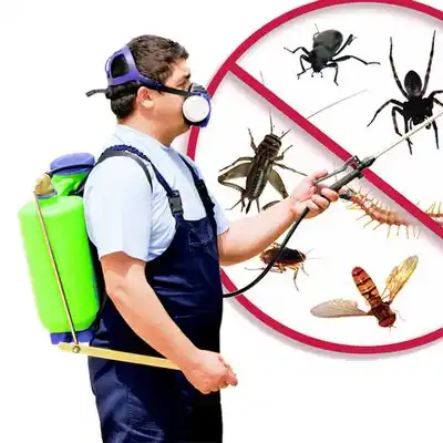 pest control Maryville